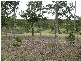 29608 Bruce Highway, Apple Tree Creek QLD 4660