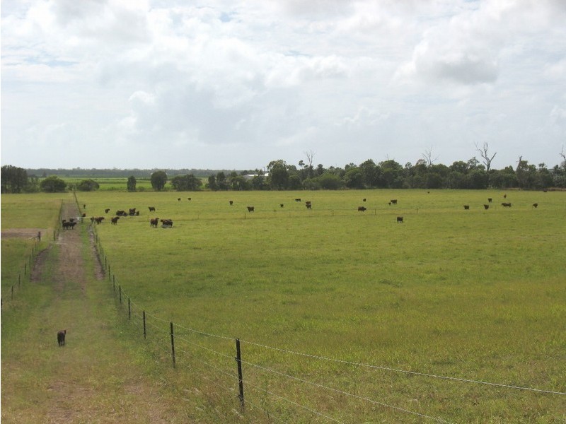 52 Booyan Road, Bundaberg QLD 4670