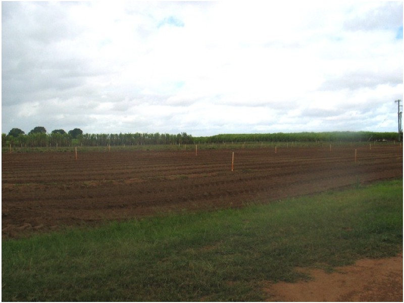 10 Careys Road, Meadowvale QLD 4670