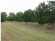 South Bingera QLD 4670