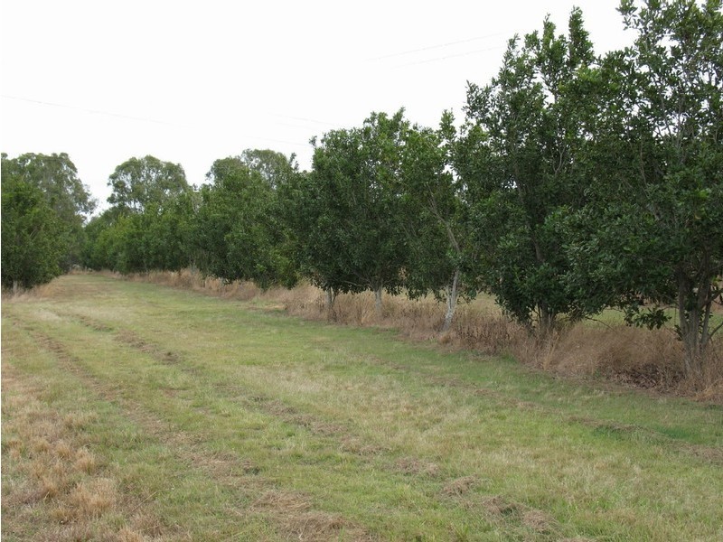 South Bingera QLD 4670