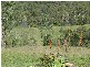 Gin Gin QLD 4671