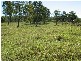 Gin Gin QLD 4671