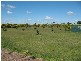 South Kolan QLD 4670