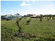 South Kolan QLD 4670