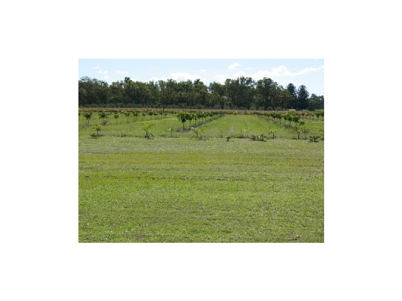 South Kolan QLD 4670