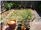 Fairfield East NSW 2165