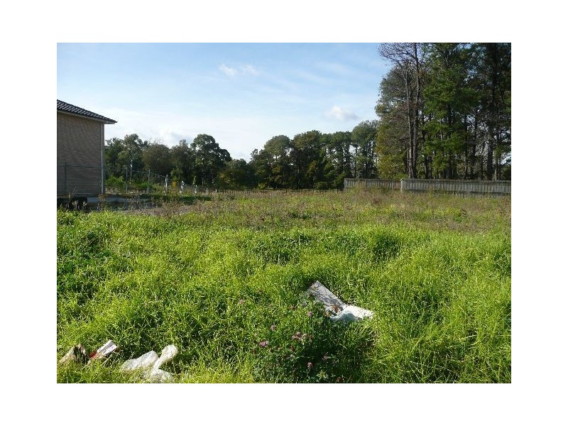 Canley Vale NSW 2166