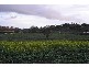 Lot 39 Kite Street, Meringandan QLD 4352