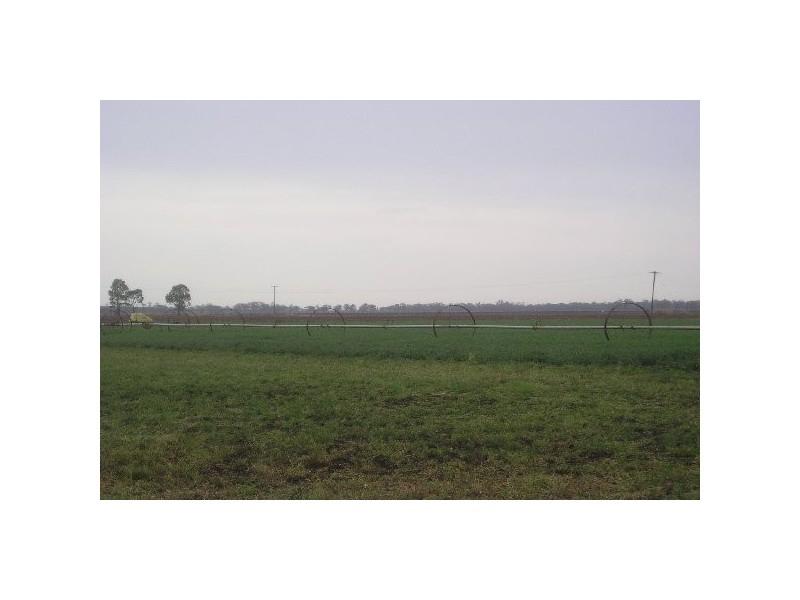 . Kaimkillenbun – Hardings Well Rd, Dalby QLD 4405