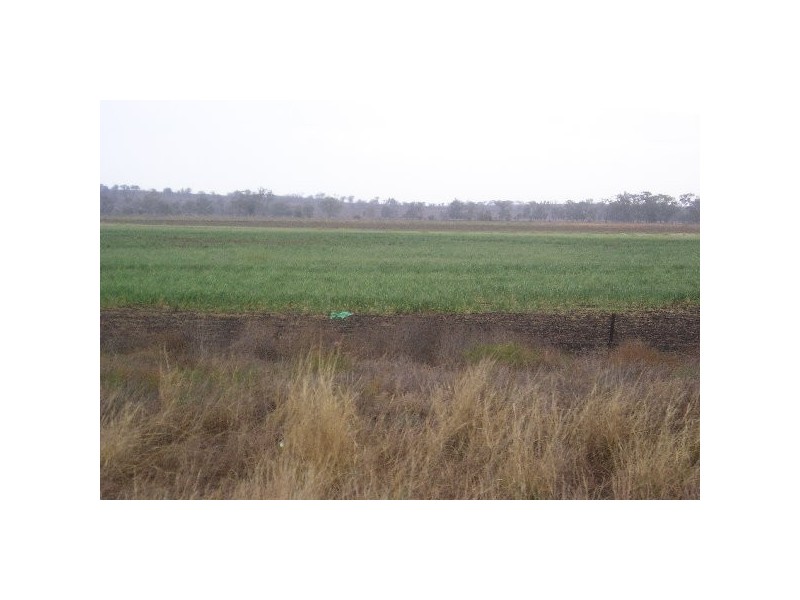. Kaimkillenbun – Hardings Well Rd, Dalby QLD 4405