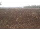 . Kaimkillenbun – Hardings Well Rd, Dalby QLD 4405