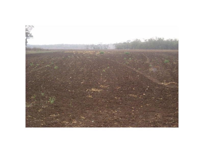 . Kaimkillenbun – Hardings Well Rd, Dalby QLD 4405