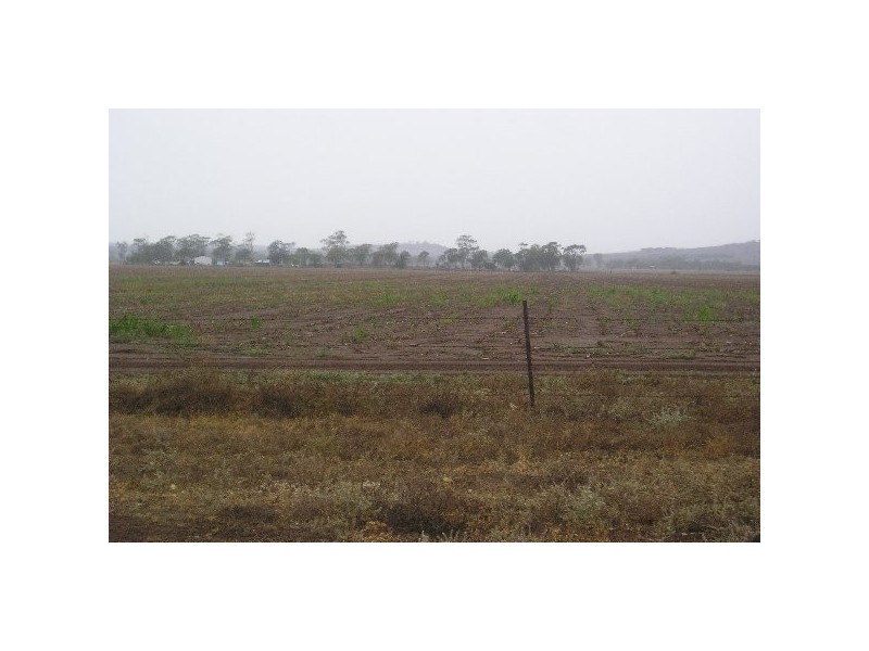 . Kaimkillenbun – Hardings Well Rd, Dalby QLD 4405