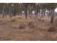 . Kaimkillenbun – Hardings Well Rd, Dalby QLD 4405
