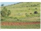 1289 Bunya Mountains-Maclagan Road, Maclagan QLD 4352