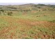 1289 Bunya Mountains- Maclagan Rd, Maclagan QLD 4352