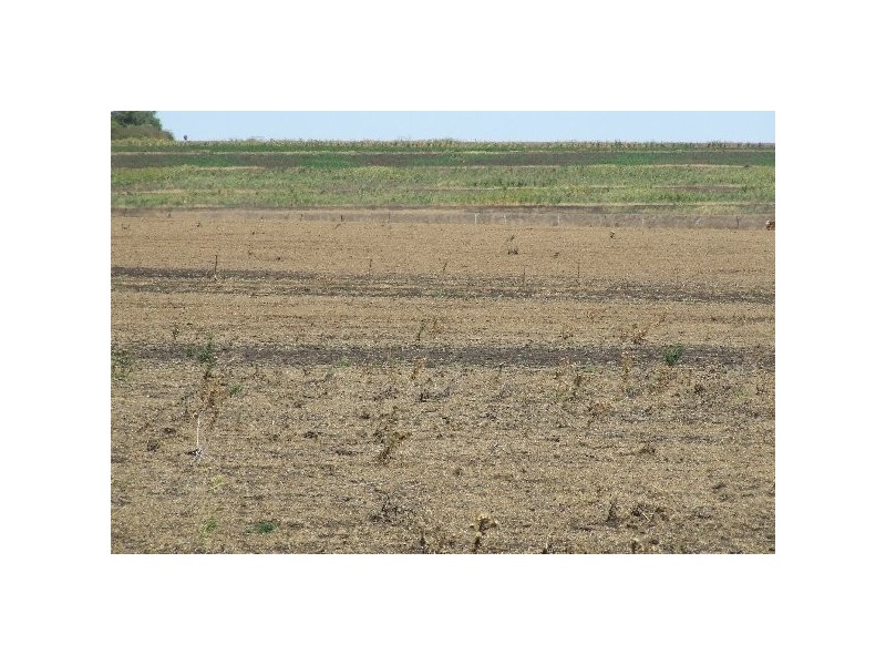 22 Allports Road, Wyreema QLD 4352