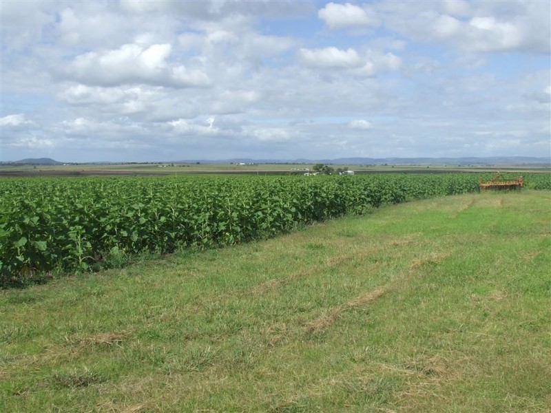 382 Cambooya Connection Road, Cambooya QLD 4358