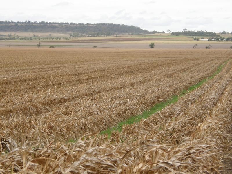 382 Cambooya Connection Road, Cambooya QLD 4358