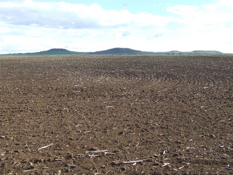 382 Cambooya Connection Road, Cambooya QLD 4358