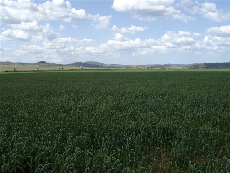 382 Cambooya Connection Road, Cambooya QLD 4358