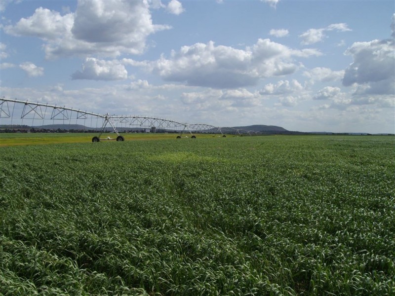 382 Cambooya Connection Road, Cambooya QLD 4358