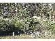 210 Goombungee Mt Darry Rd, Goombungee QLD 4354