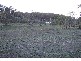 210 Goombungee Mt Darry Rd, Goombungee QLD 4354