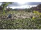 210 Goombungee Mt Darry Rd, Goombungee QLD 4354