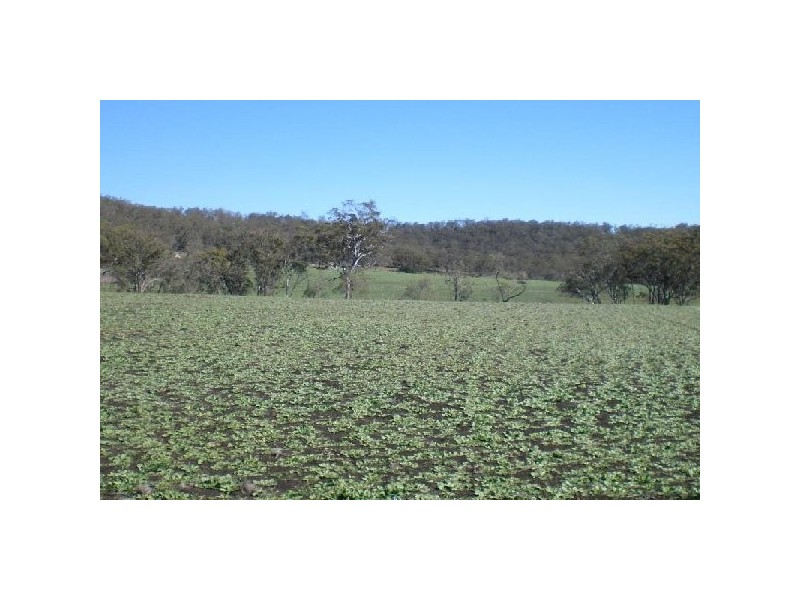 L1 Hamblin Court, Mount Rascal QLD 4350