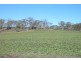 L4 Hamblin Court, Mount Rascal QLD 4350