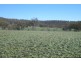 L7 Hamblin Court, Mount Rascal QLD 4350