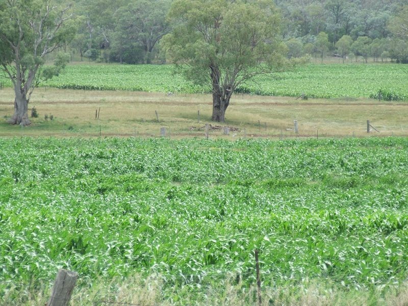 L1 RL4090:RL42/4090 Beauaraba Road, Southbrook QLD 4363