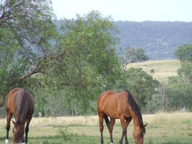 293 Hennessey Road, Cambooya QLD 4358