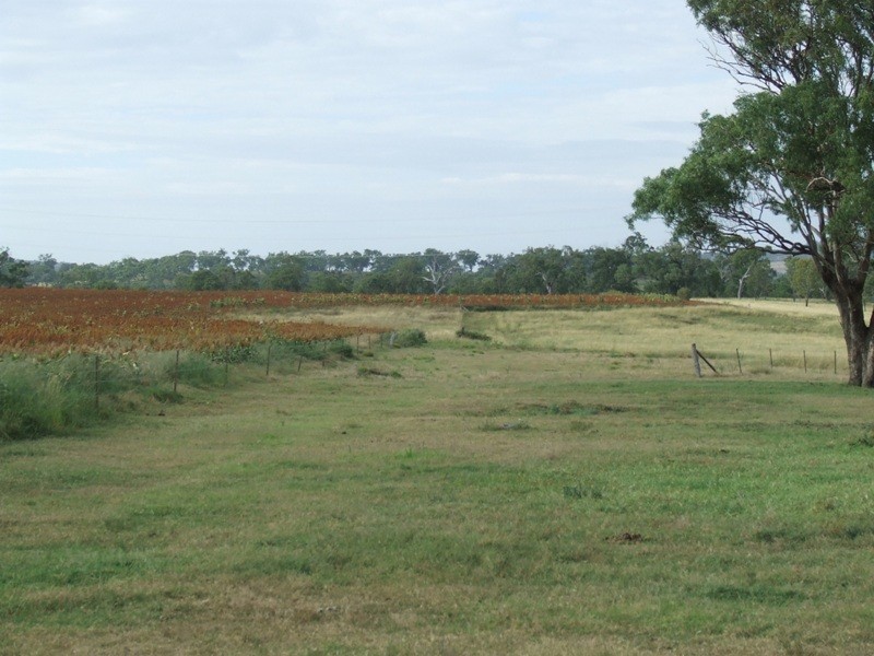 293 Hennessey Road, Cambooya QLD 4358