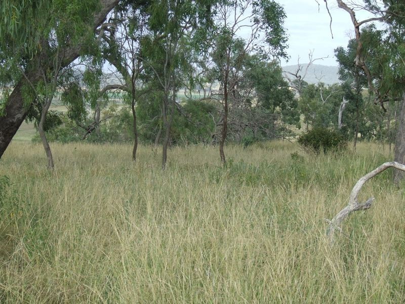 293 Hennessey Road, Cambooya QLD 4358