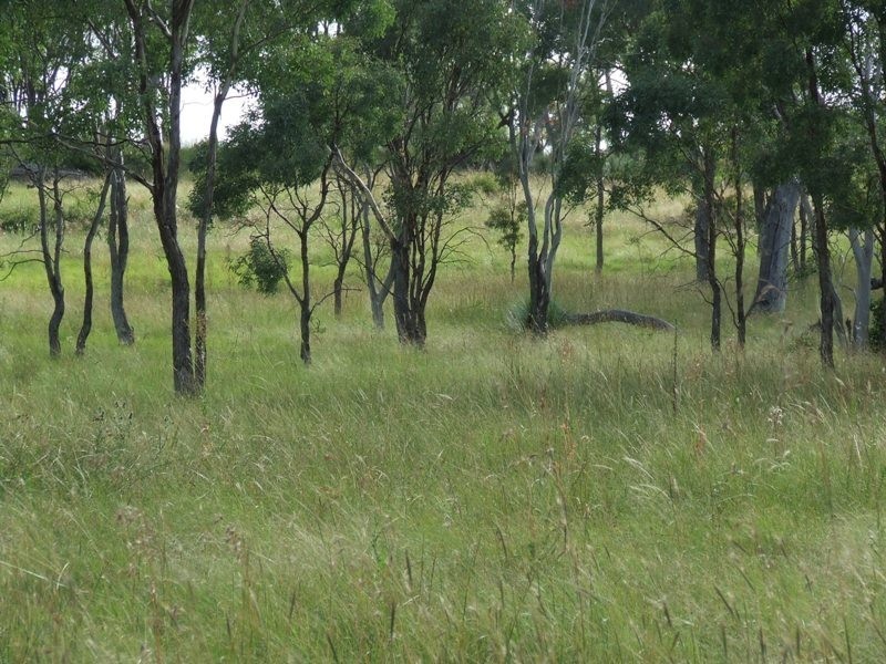 293 Hennessey Road, Cambooya QLD 4358