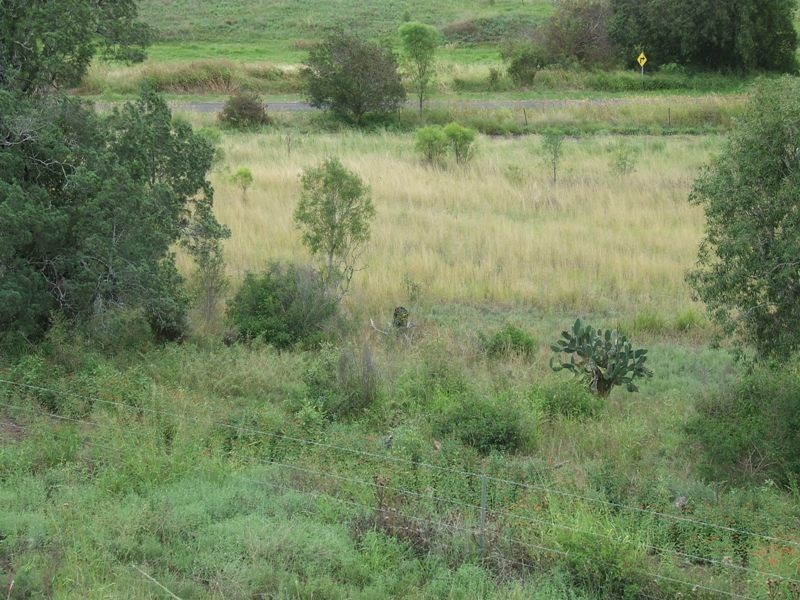 L20 Stoneleigh Road, Pittsworth QLD 4356