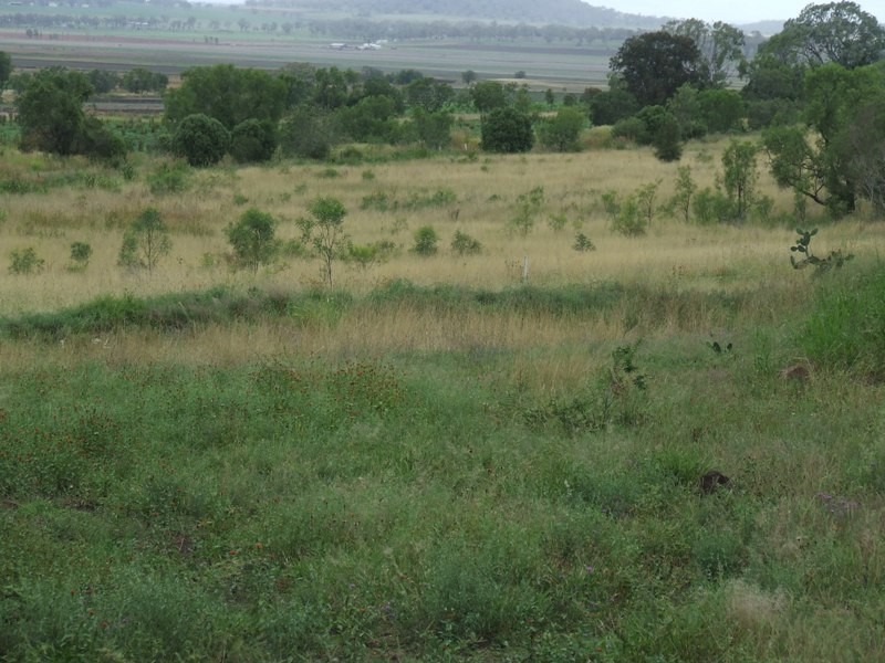 L20 Stoneleigh Road, Pittsworth QLD 4356