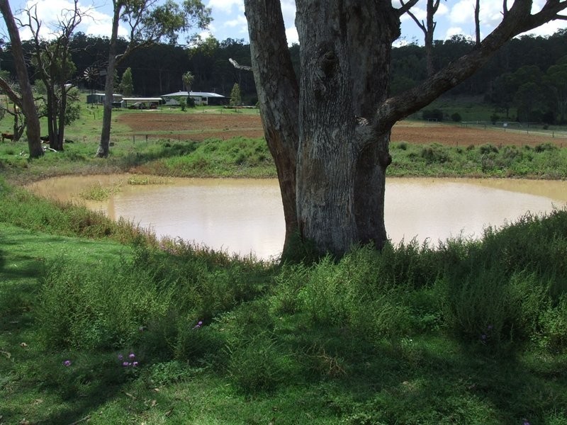 79 Rummells Road, Goombungee QLD 4354