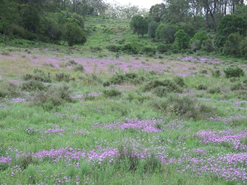 79 Rummells Road, Goombungee QLD 4354