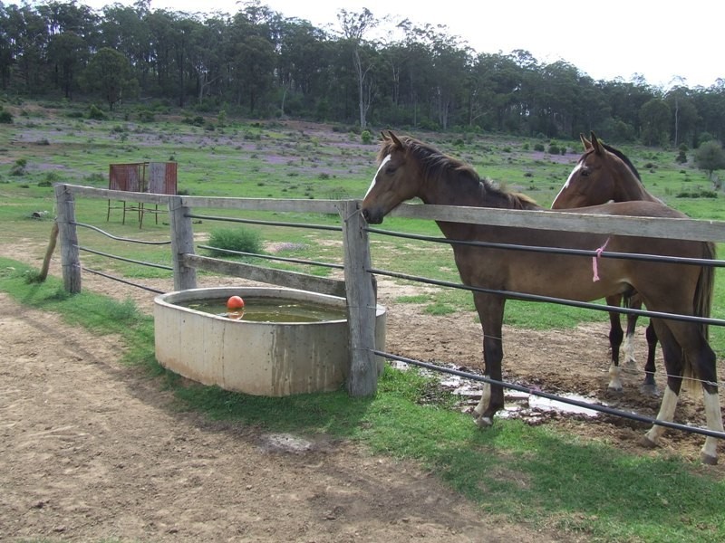 79 Rummells Road, Goombungee QLD 4354