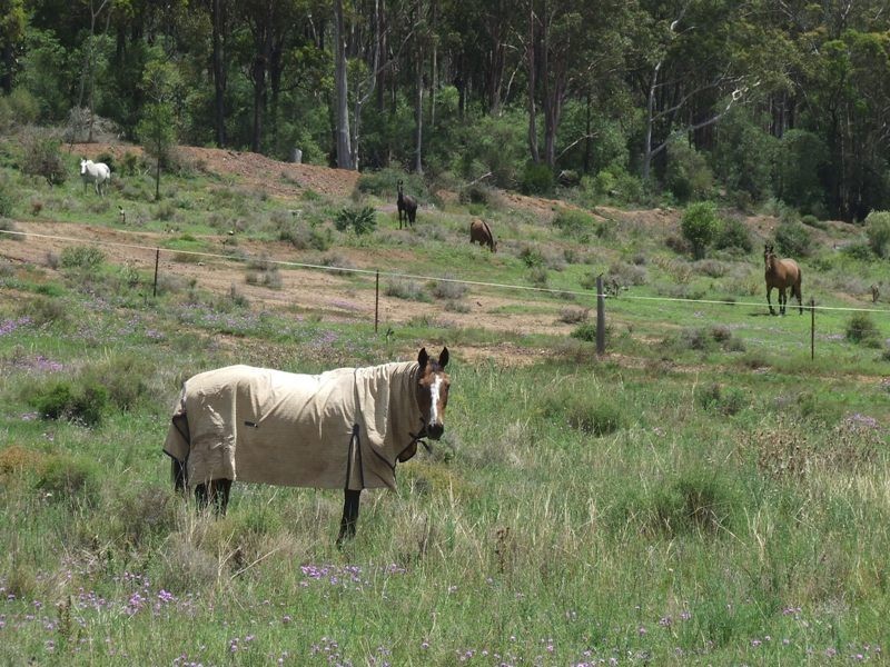 79 Rummells Road, Goombungee QLD 4354
