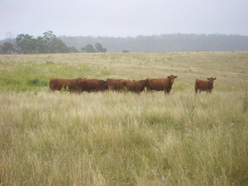 61 Spinnach Creek Road, Fordsdale QLD 4343