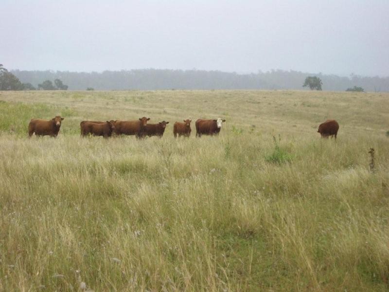 61 Spinnach Creek Road, Fordsdale QLD 4343