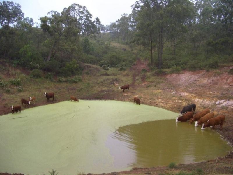 61 Spinnach Creek Road, Fordsdale QLD 4343