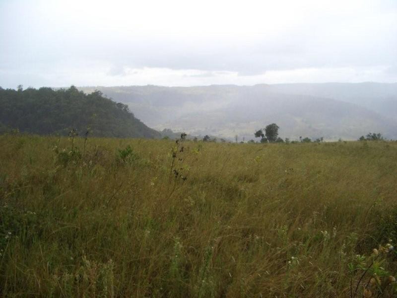 61 Spinnach Creek Road, Fordsdale QLD 4343