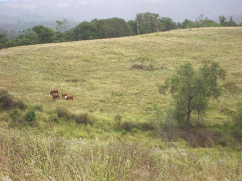 61 Spinnach Creek Road, Fordsdale QLD 4343