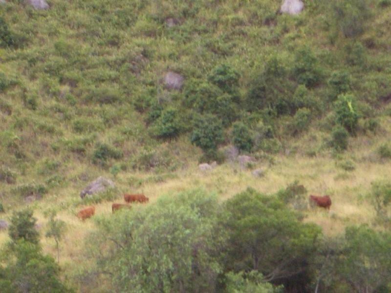 61 Spinnach Creek Road, Fordsdale QLD 4343